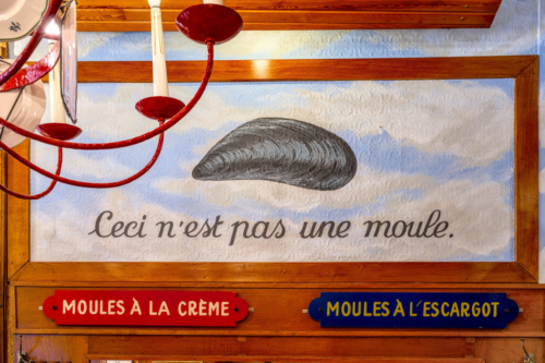 220731_16-Leon-Ames-ouverture-06-2021_6016x4011